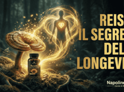 Reishi Il Fungo dell’Immortalità che allunga la vita e scaccia lo stress. Ecco perché tutti ne parlano