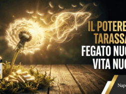 Tarassaco ti rimette a nuovo. Ecco come usare il dente di leone per depurare fegato e reni